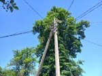 /data/www/kalugaru/kaluganew/images/news/news1837204-lg.jpg