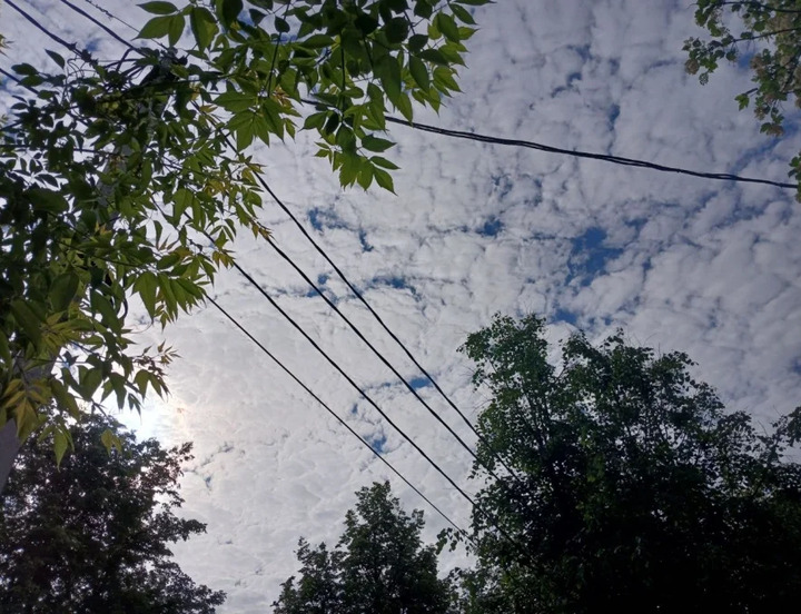 /data/www/kalugaru/kaluganew/images/news/news2172879-lg.jpg