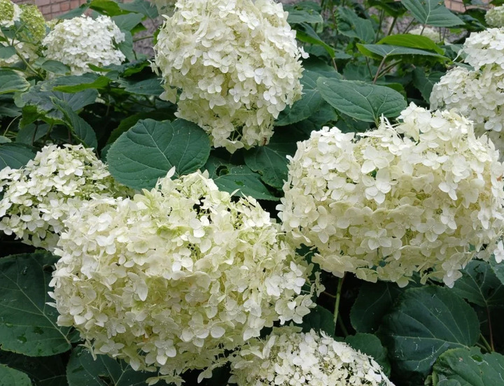 /data/www/kalugaru/kaluganew/images/news/news2173478-lg.jpg