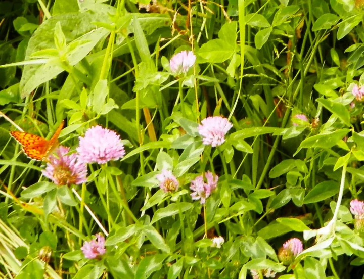 /data/www/kalugaru/kaluganew/images/news/news2185690-lg.jpg