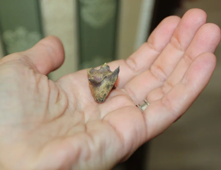 /data/www/kalugaru/kaluganew/images/news/news2200883-lg.jpg